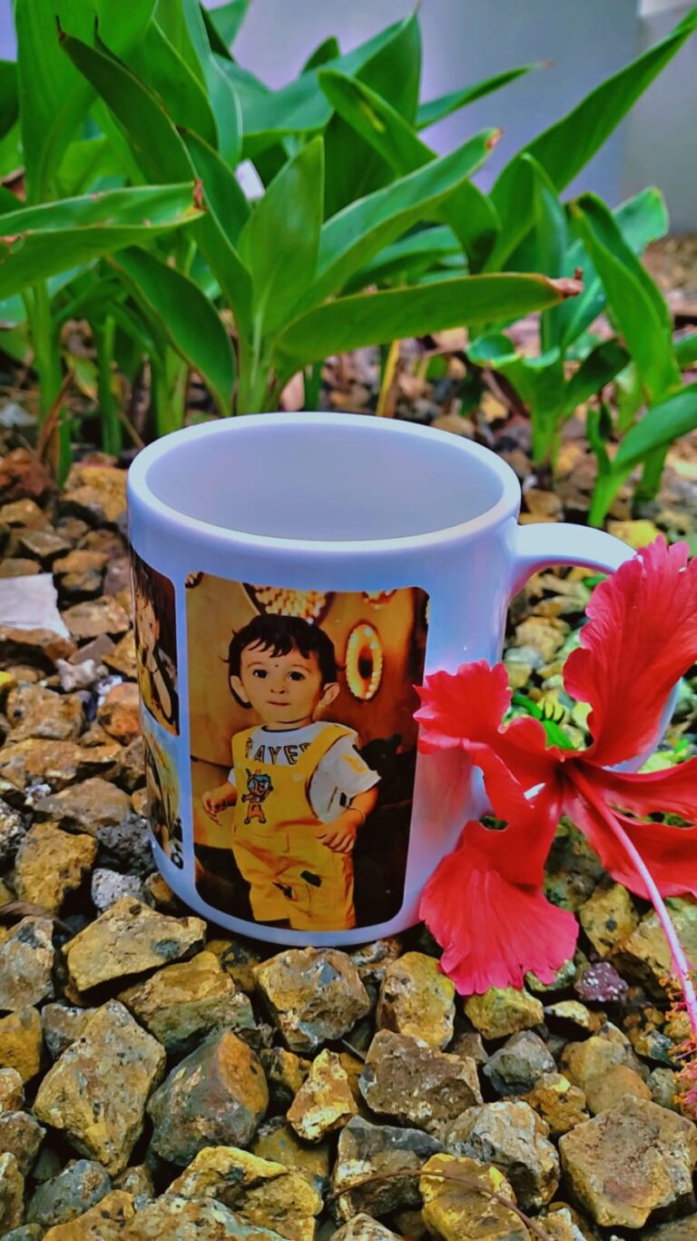 WhatsApp Image 2026 03 21 at 14.04.24 1 768x1366