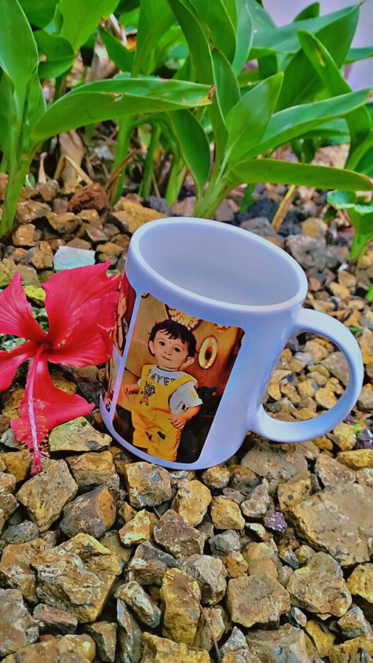 WhatsApp Image 2026 03 21 at 14.04.24 2 768x1366